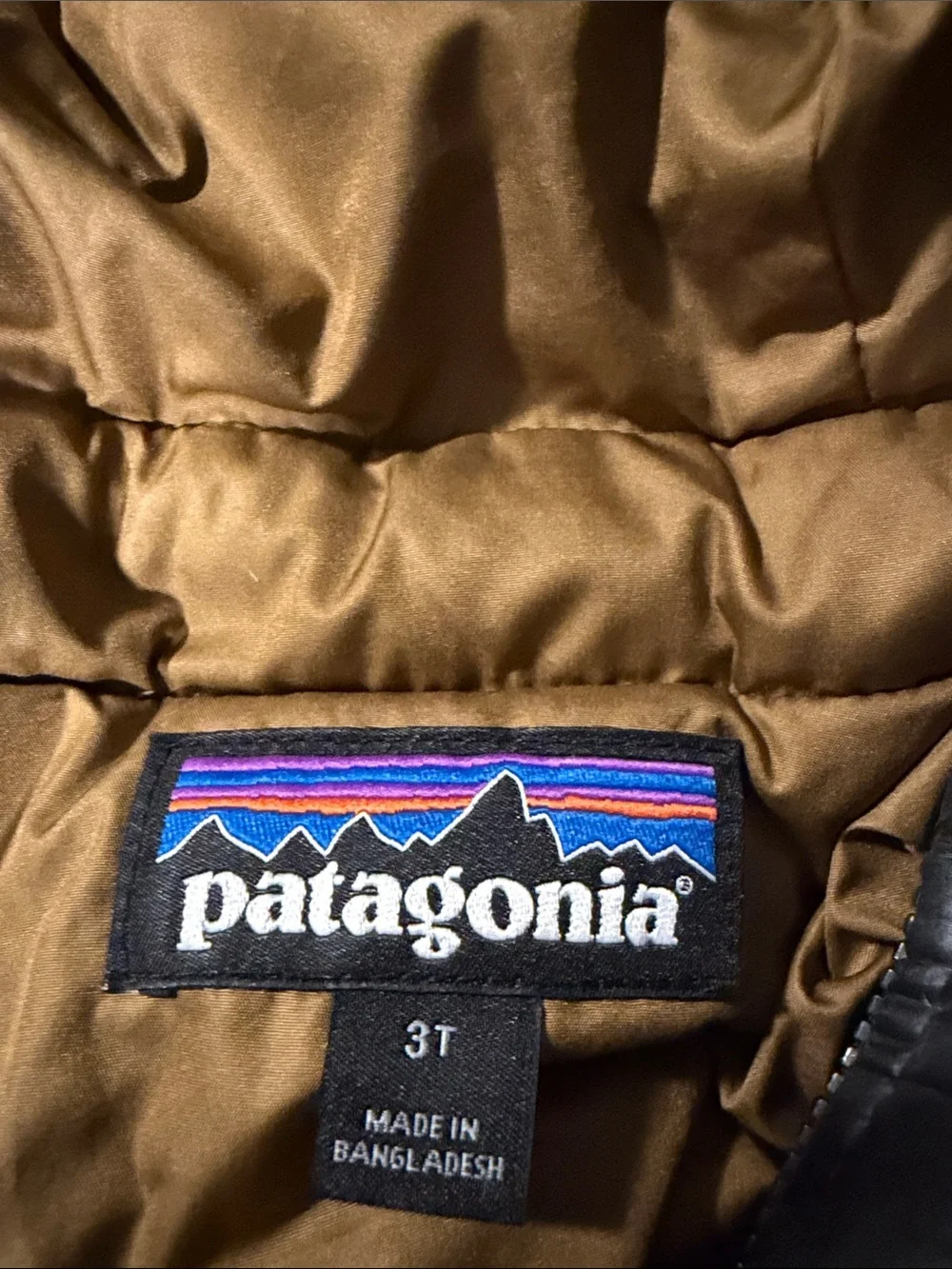 Patagonia Kids Black Hooded Puffer Jacket